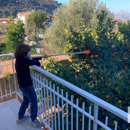 La Terrazza Family Holidays - Sorrento Coast Sant'Agnello Eksteriør billede